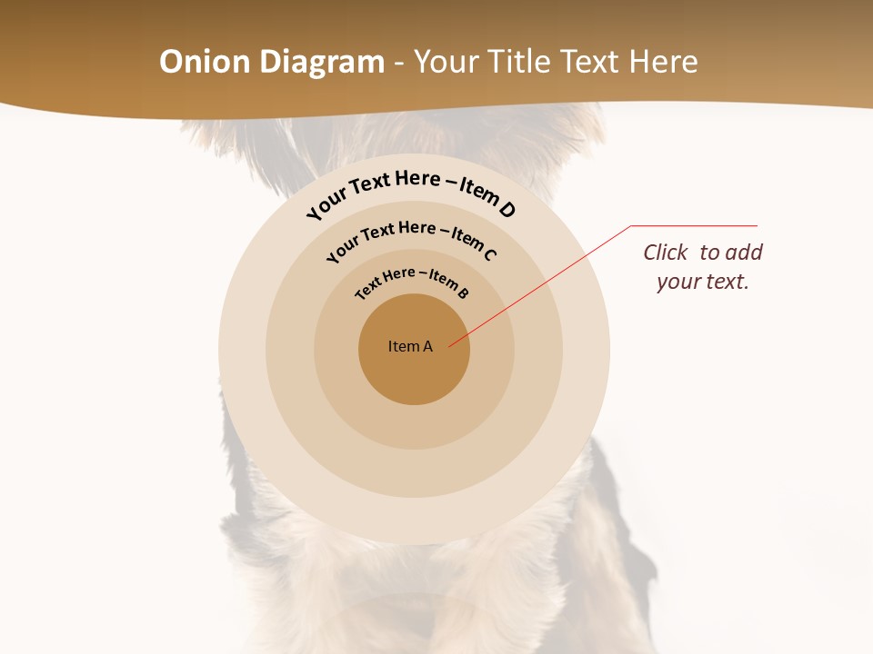 Domestic White Front PowerPoint Template