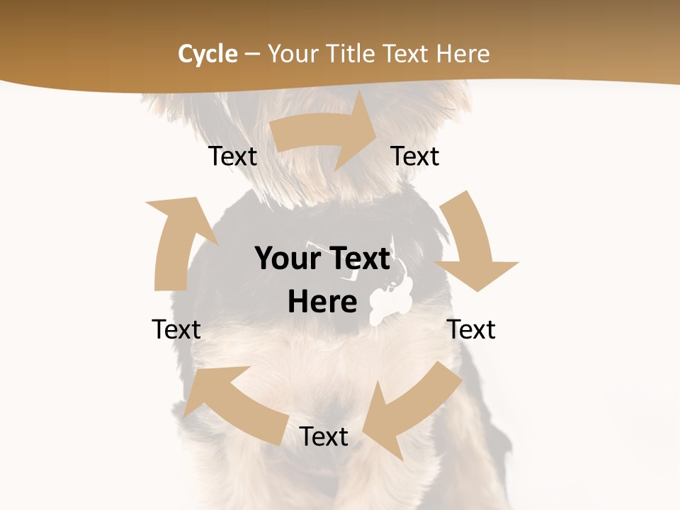 Domestic White Front PowerPoint Template