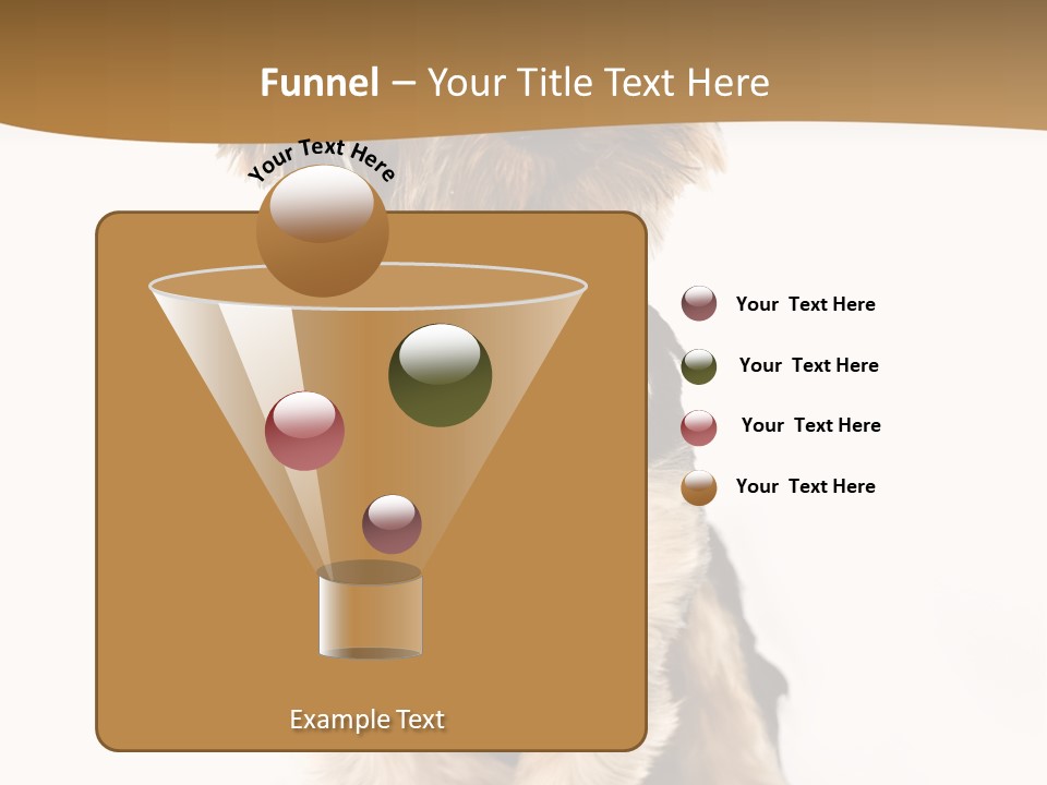 Domestic White Front PowerPoint Template