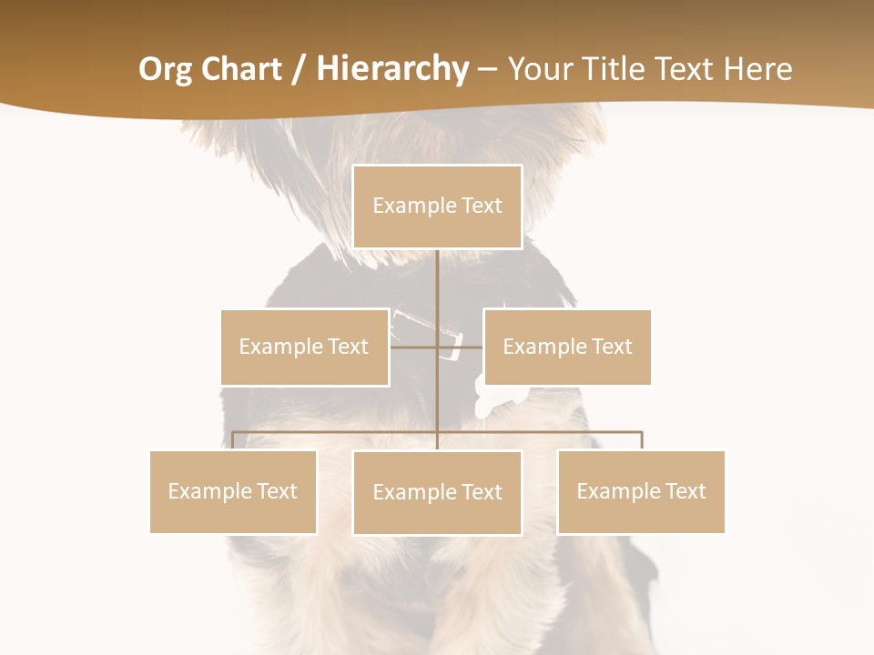 Domestic White Front PowerPoint Template