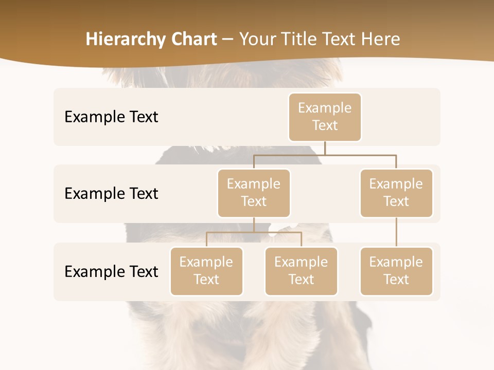 Domestic White Front PowerPoint Template