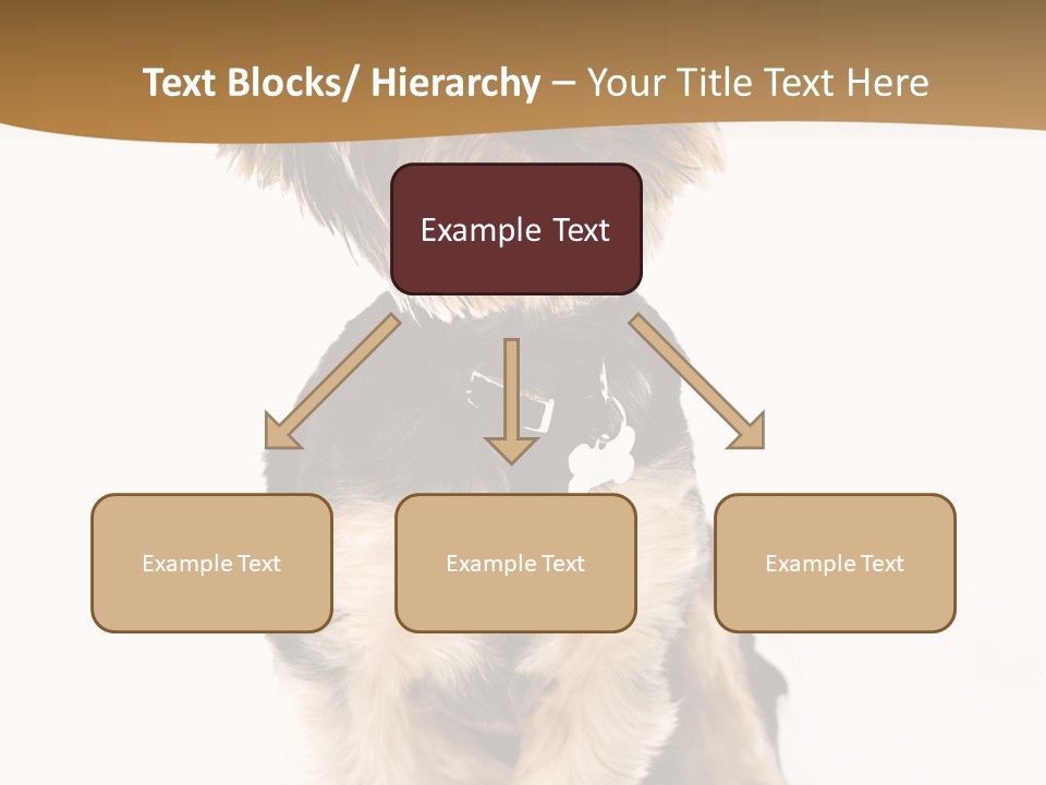 Domestic White Front PowerPoint Template