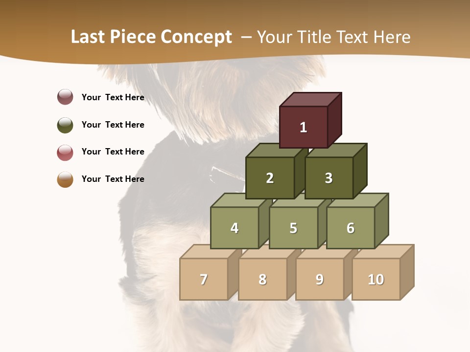 Domestic White Front PowerPoint Template