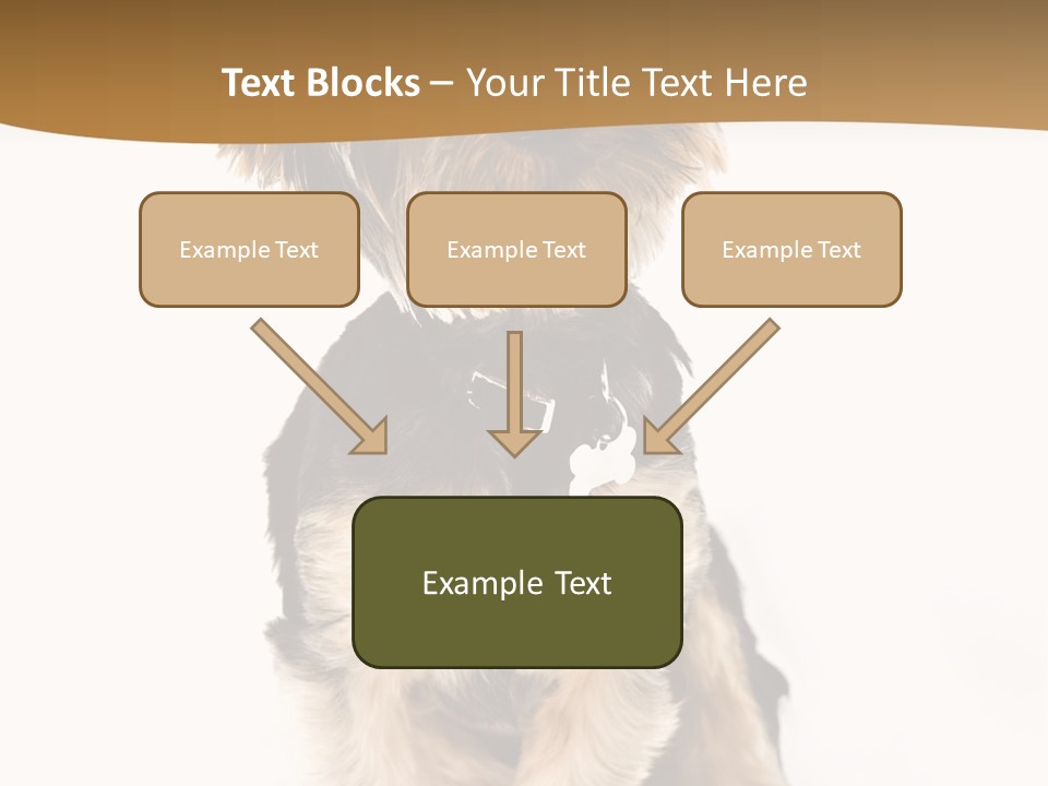 Domestic White Front PowerPoint Template