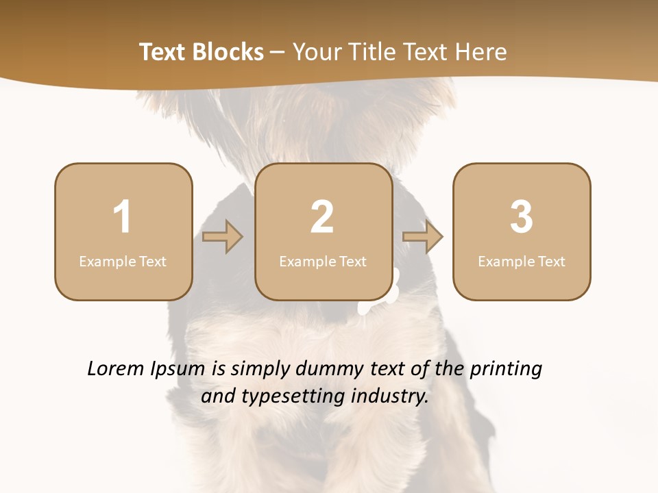 Domestic White Front PowerPoint Template