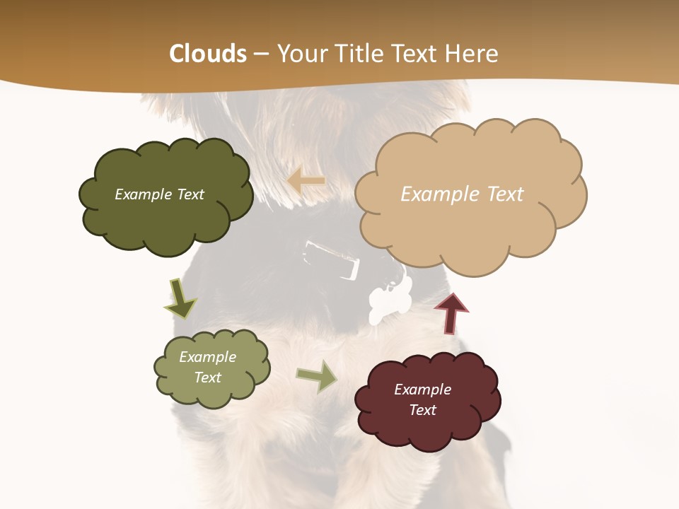Domestic White Front PowerPoint Template