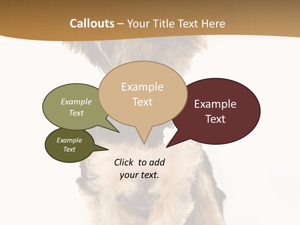 Domestic White Front PowerPoint Template