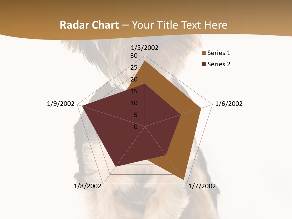 Domestic White Front PowerPoint Template