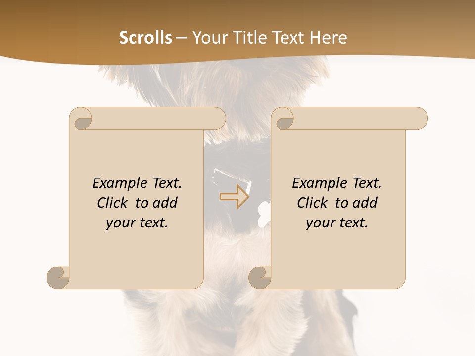 Domestic White Front PowerPoint Template