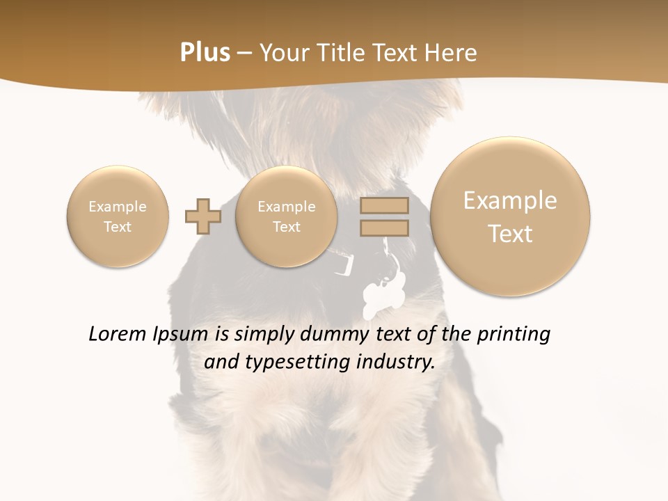 Domestic White Front PowerPoint Template