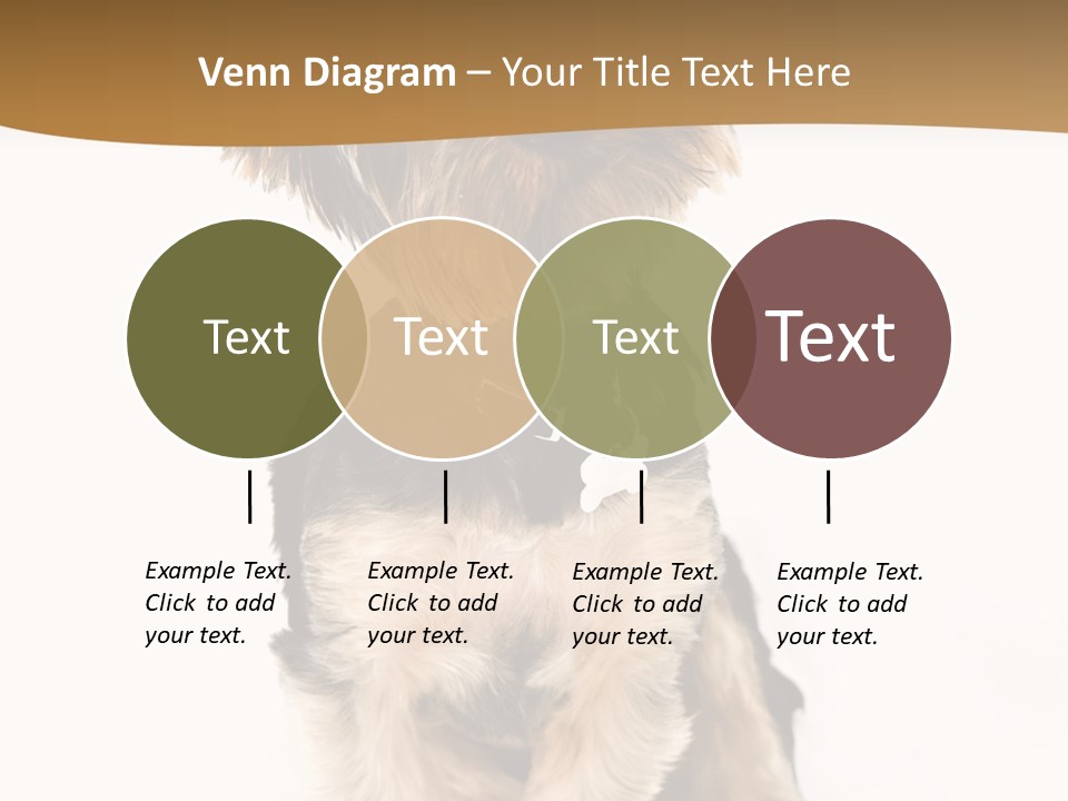 Domestic White Front PowerPoint Template