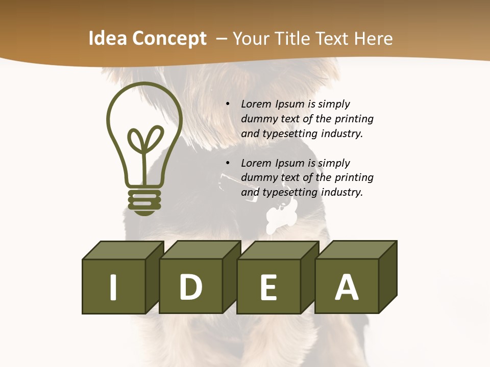 Domestic White Front PowerPoint Template