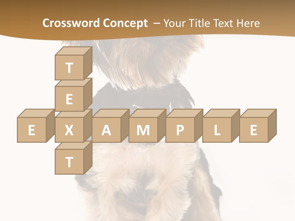 Domestic White Front PowerPoint Template