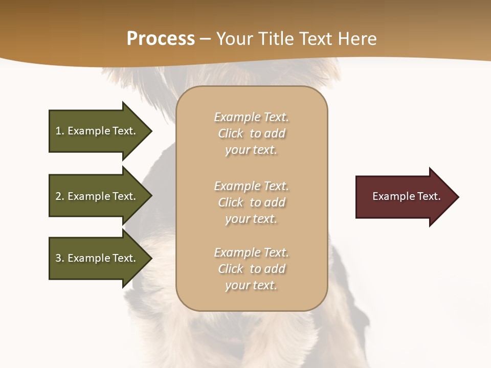 Domestic White Front PowerPoint Template