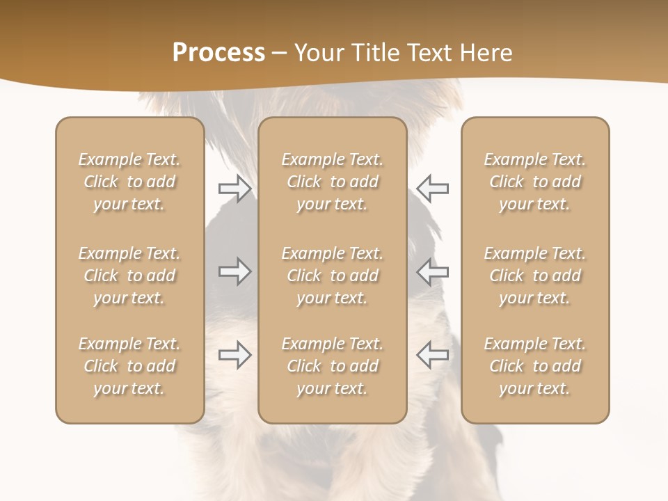 Domestic White Front PowerPoint Template