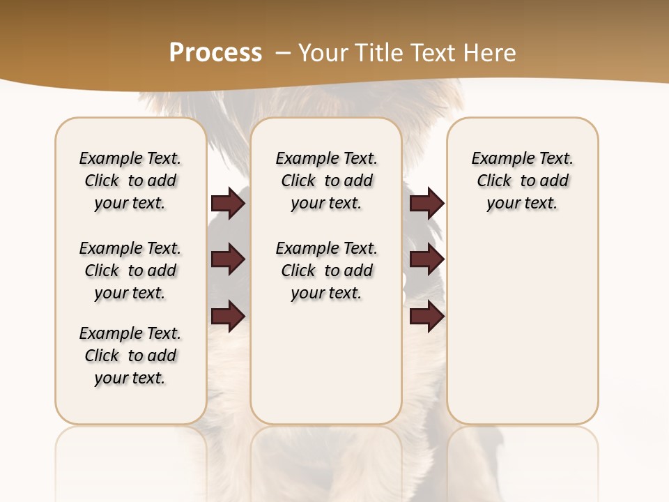 Domestic White Front PowerPoint Template