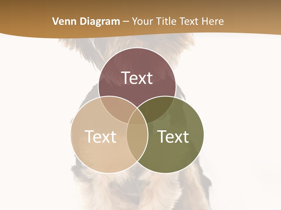 Domestic White Front PowerPoint Template