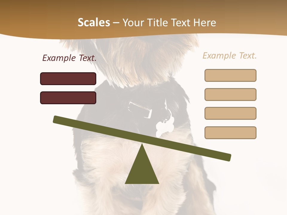 Domestic White Front PowerPoint Template