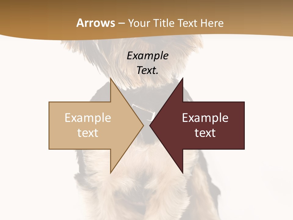 Domestic White Front PowerPoint Template