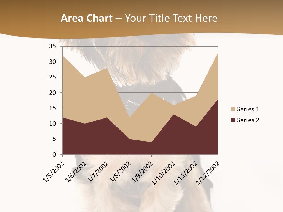 Domestic White Front PowerPoint Template