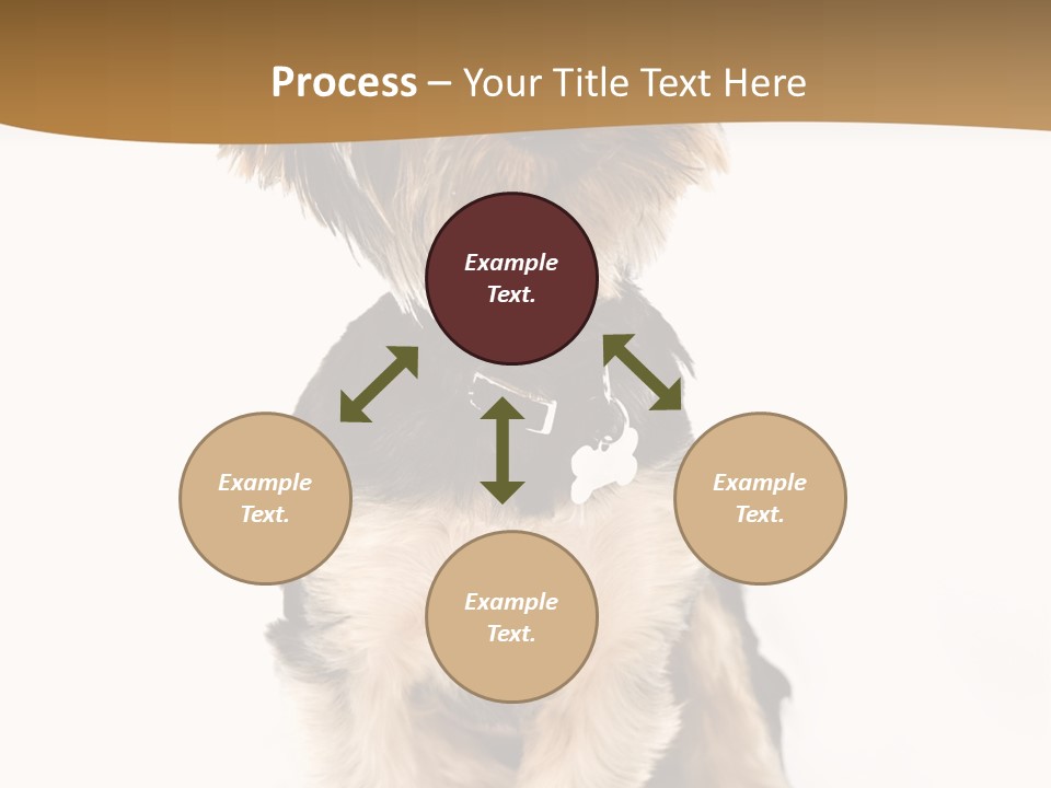 Domestic White Front PowerPoint Template