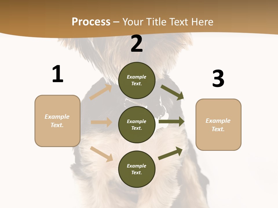 Domestic White Front PowerPoint Template
