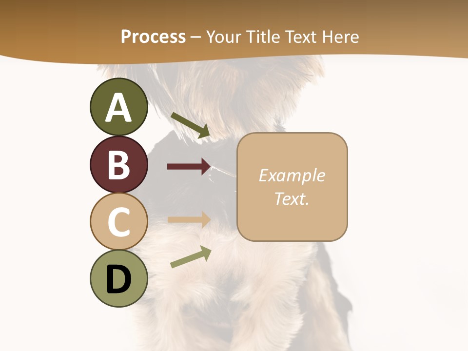 Domestic White Front PowerPoint Template