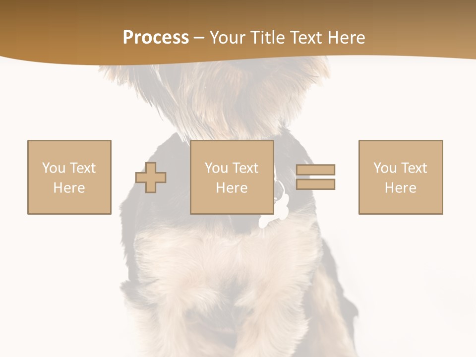 Domestic White Front PowerPoint Template