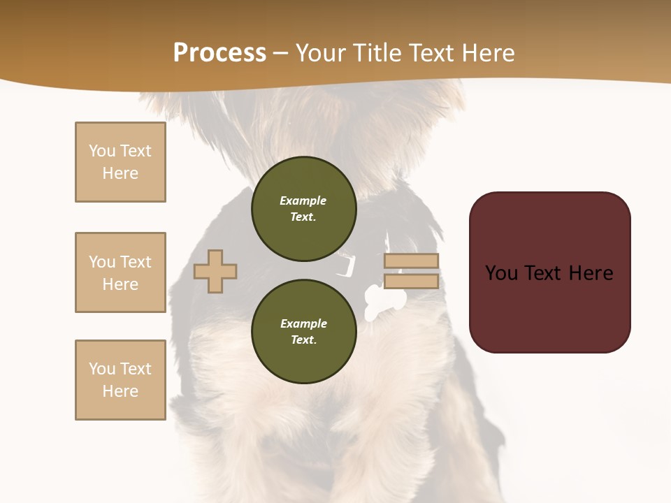 Domestic White Front PowerPoint Template