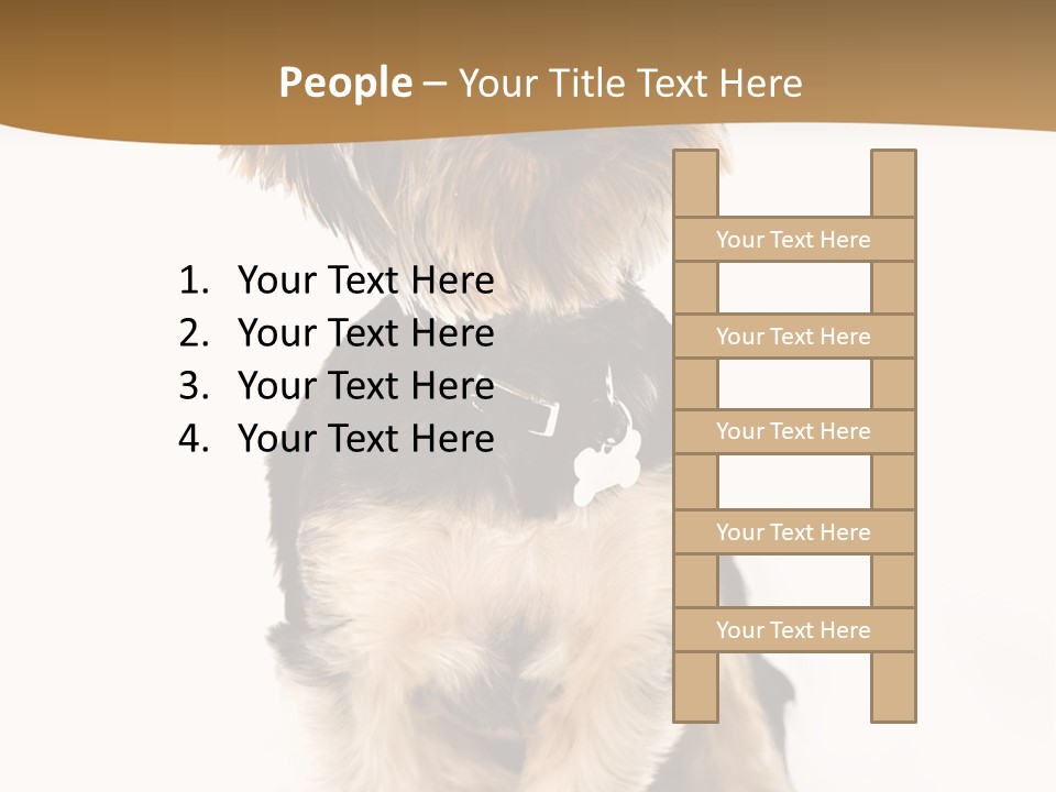 Domestic White Front PowerPoint Template