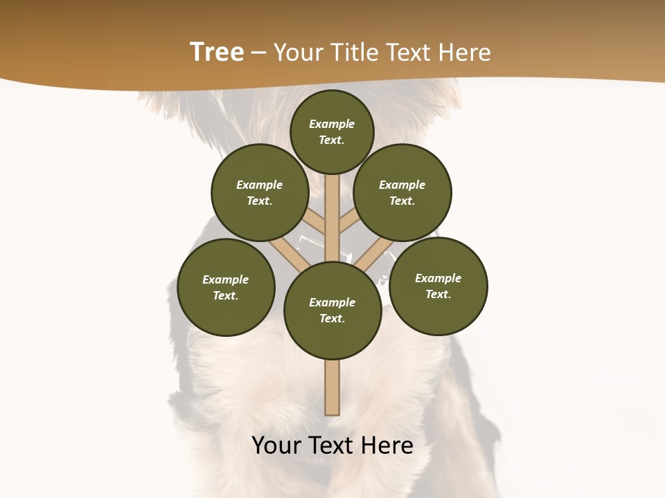 Domestic White Front PowerPoint Template