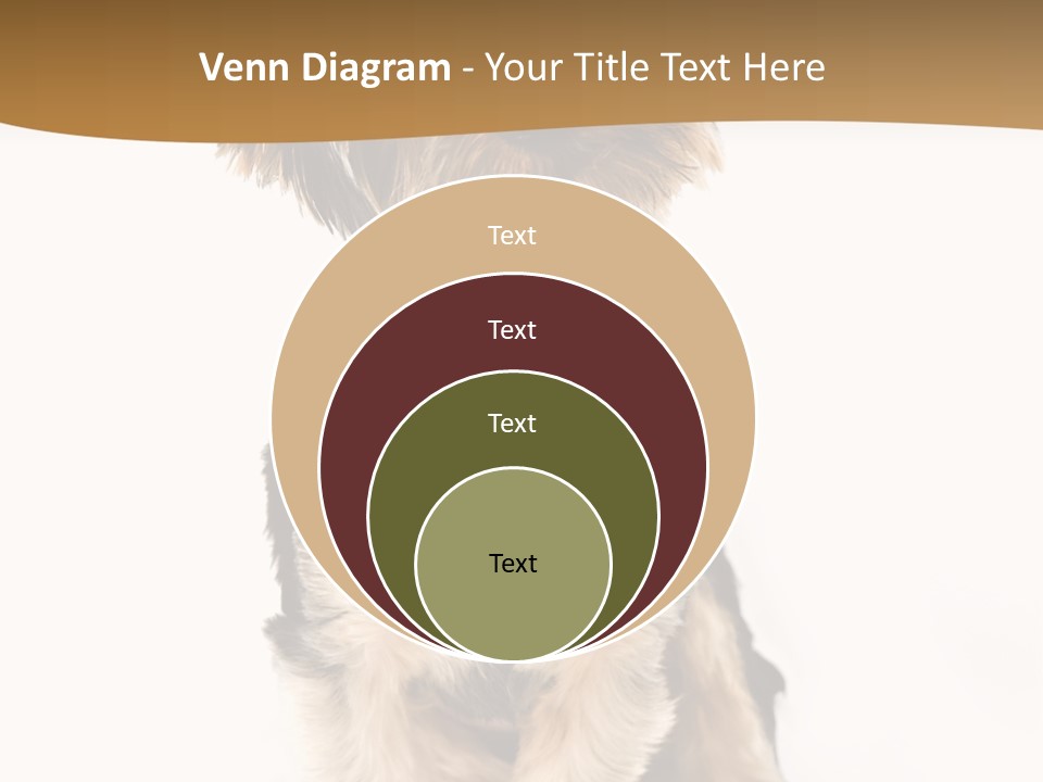 Domestic White Front PowerPoint Template