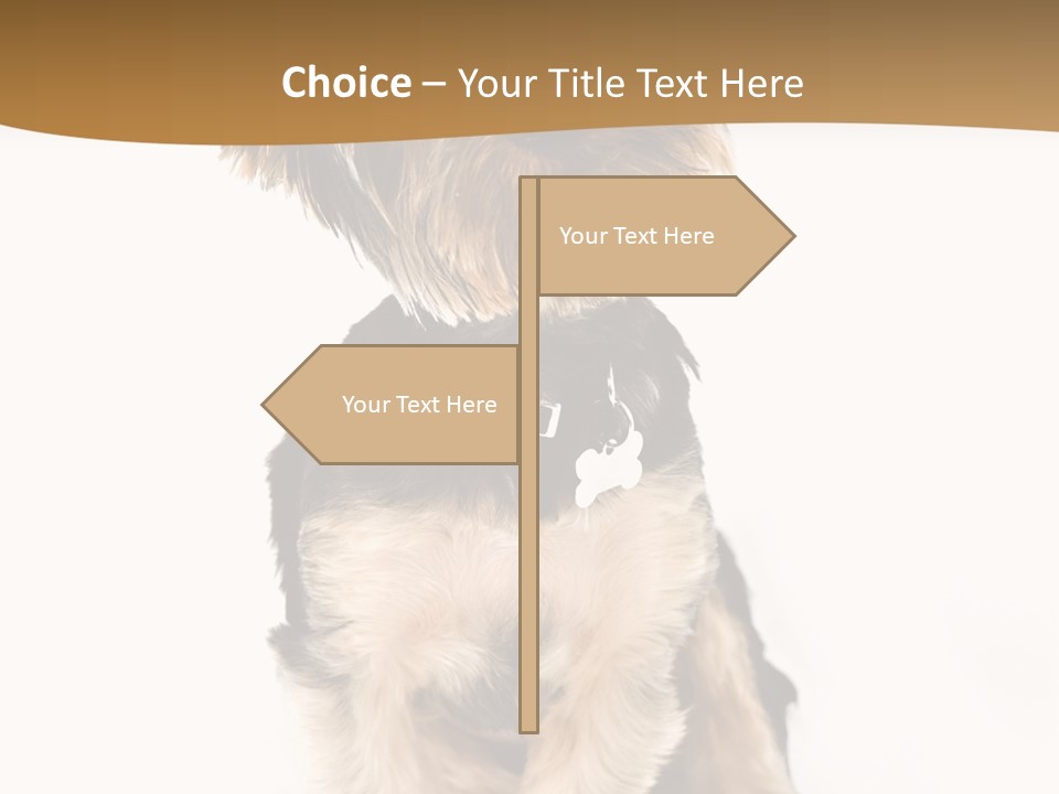 Domestic White Front PowerPoint Template