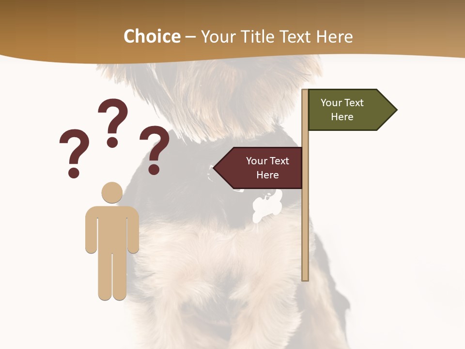 Domestic White Front PowerPoint Template