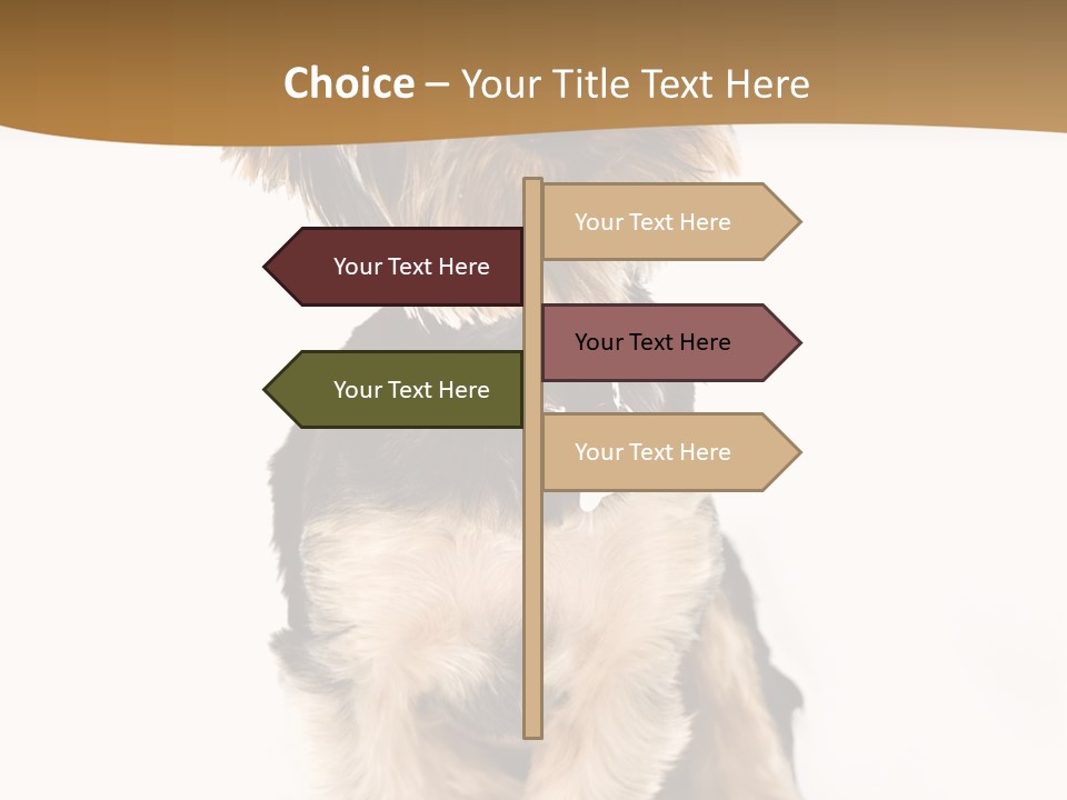 Domestic White Front PowerPoint Template