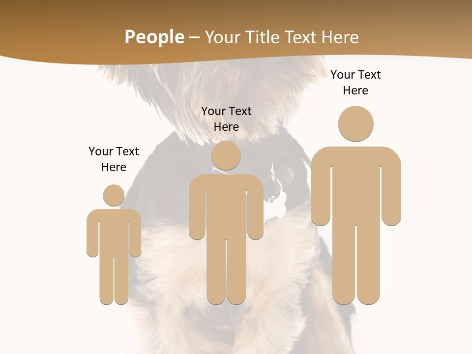 Domestic White Front PowerPoint Template