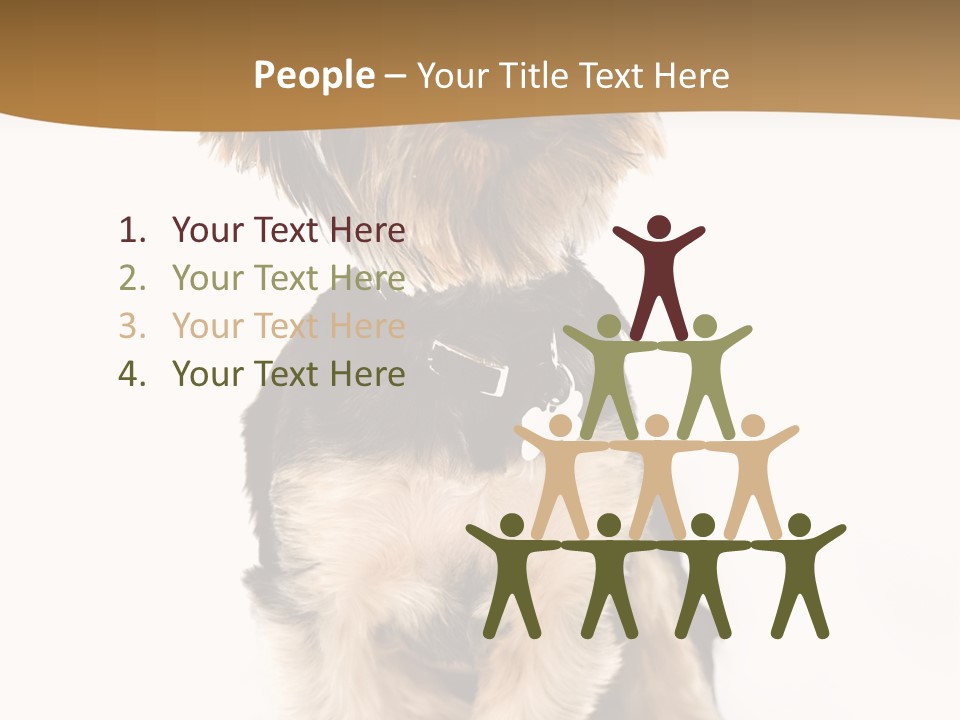 Domestic White Front PowerPoint Template