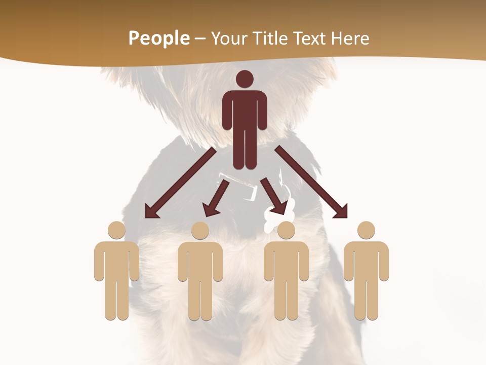 Domestic White Front PowerPoint Template