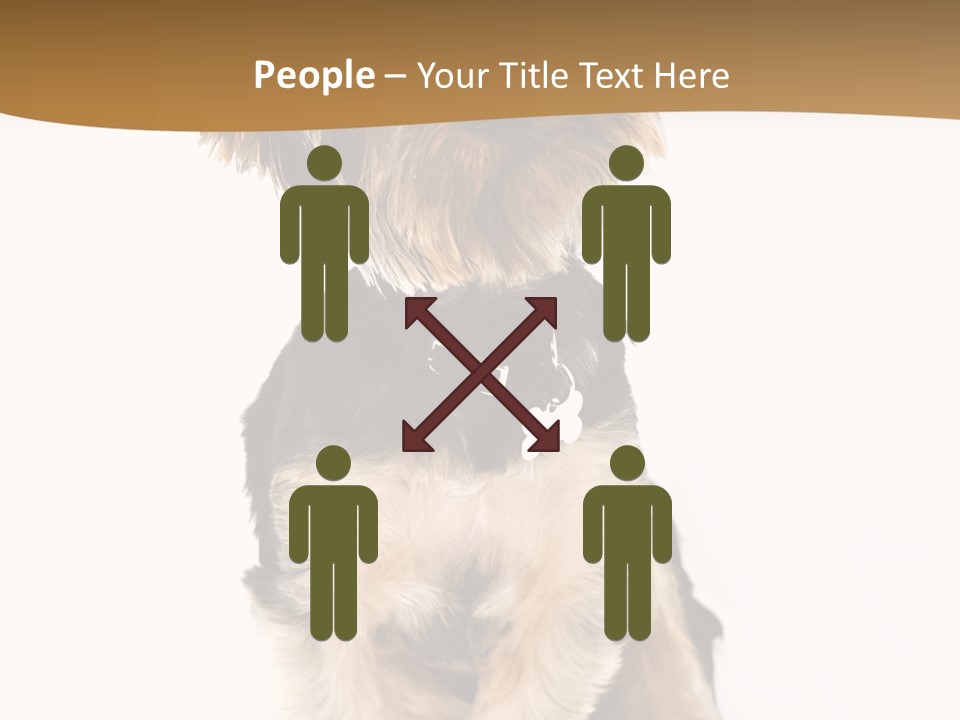 Domestic White Front PowerPoint Template