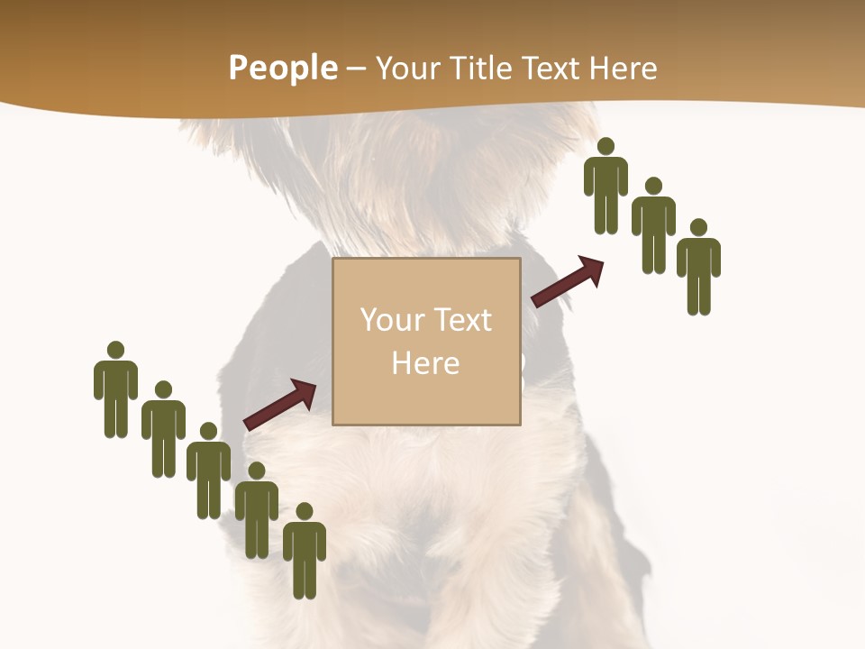 Domestic White Front PowerPoint Template