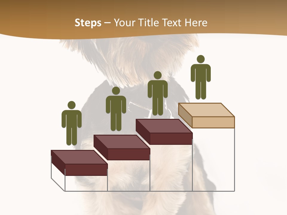 Domestic White Front PowerPoint Template