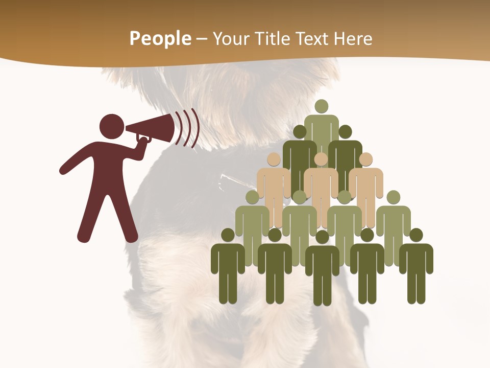 Domestic White Front PowerPoint Template