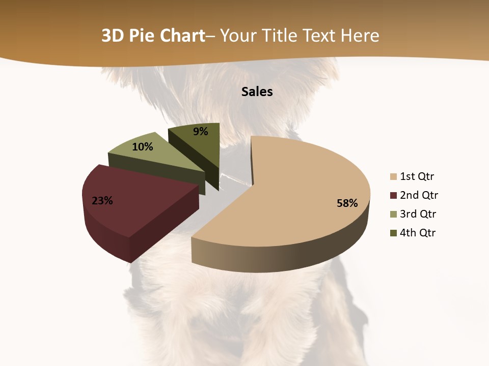 Domestic White Front PowerPoint Template