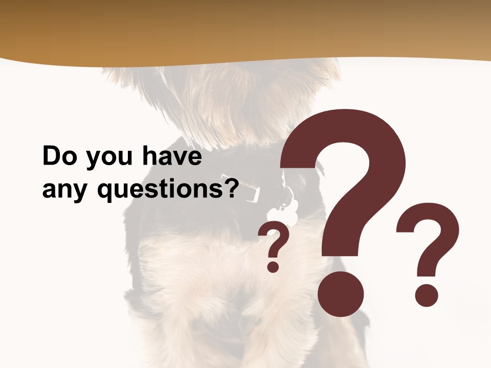 Domestic White Front PowerPoint Template