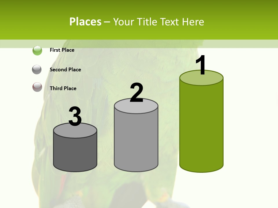 Ochrocephala Yellow Crowned Peru PowerPoint Template