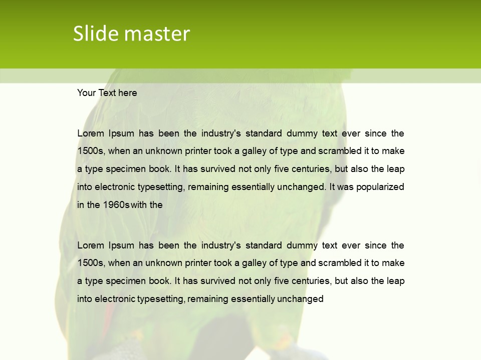 Ochrocephala Yellow Crowned Peru PowerPoint Template