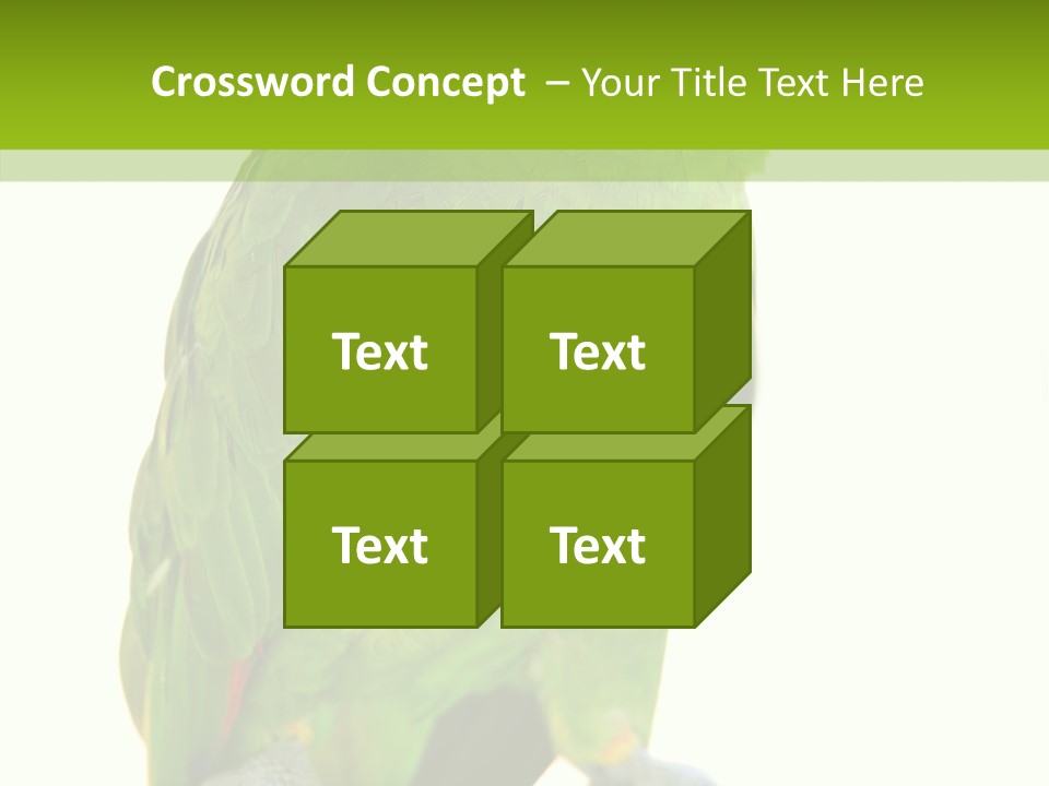 Ochrocephala Yellow Crowned Peru PowerPoint Template