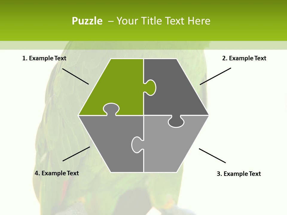 Ochrocephala Yellow Crowned Peru PowerPoint Template