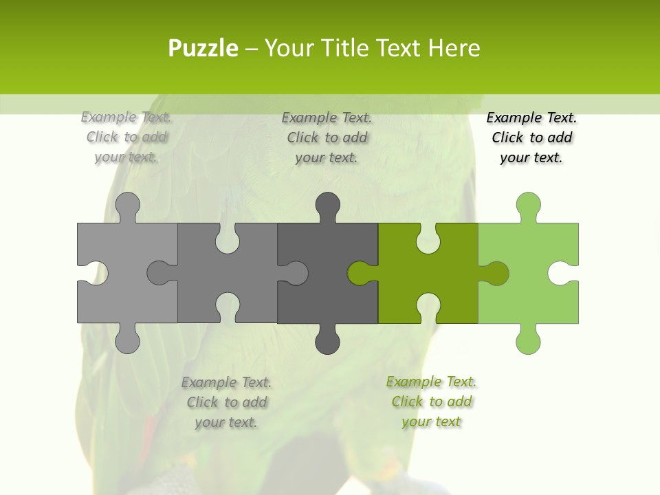 Ochrocephala Yellow Crowned Peru PowerPoint Template