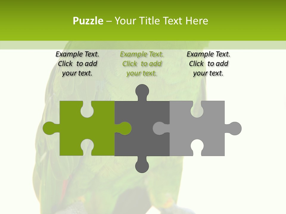 Ochrocephala Yellow Crowned Peru PowerPoint Template